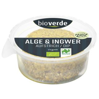 Alge & Ingwer