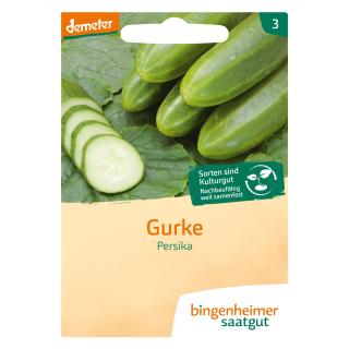 Freilandgurke Persika, Bingenheimer Saatgut
