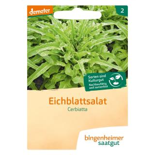 Eichblattsalat Cerbiatta, Bingenheimer Saatgut