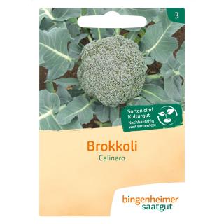 Brokkoli Calinaro, Bingenheimer Saatgut