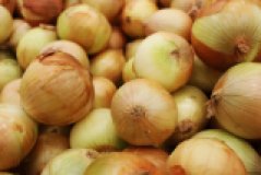 Zwiebeln gelb aus eigenem Bio-Anbau