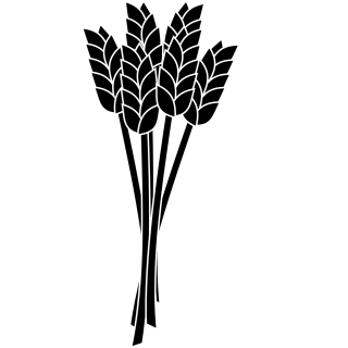 Getreide & Müsli