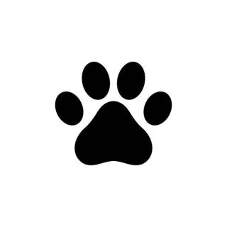 Für die Katz´ (und den Hund)