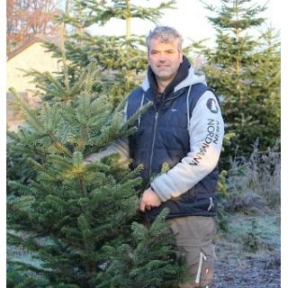 150 - 175 cm Nordmann Weihnachtsbaum