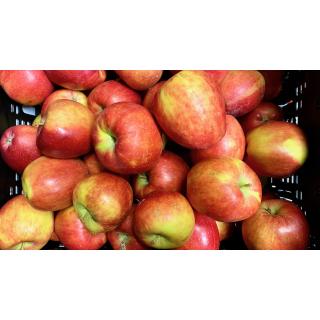 Apfel Braeburn