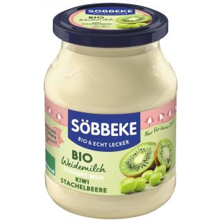 Joghurt Kiwi-Stachelbeere