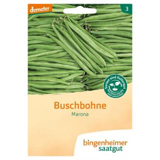 Buschbohne Marona