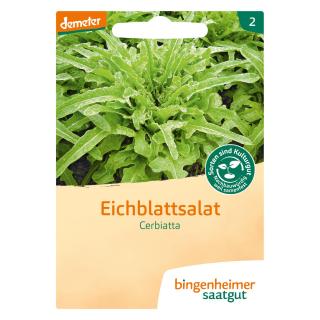 Eichblattsalat Cerbiatta, Bingenheimer Saatgut