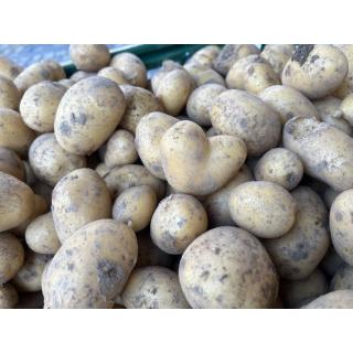 Frühkartoffeln aus eigenem Bio-Anbau, Belana