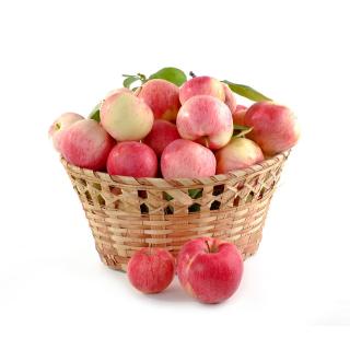 Äpfel diverse Sorten